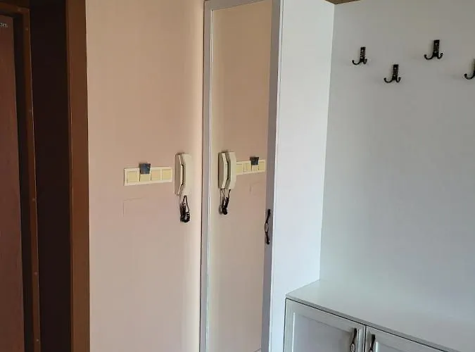 Vip аpartament Apartment *